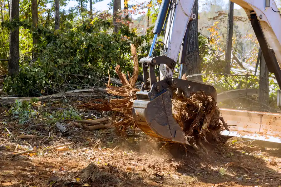 Excellent Stump Removal Concord, NC Excellent Stump Removal Concord, NC